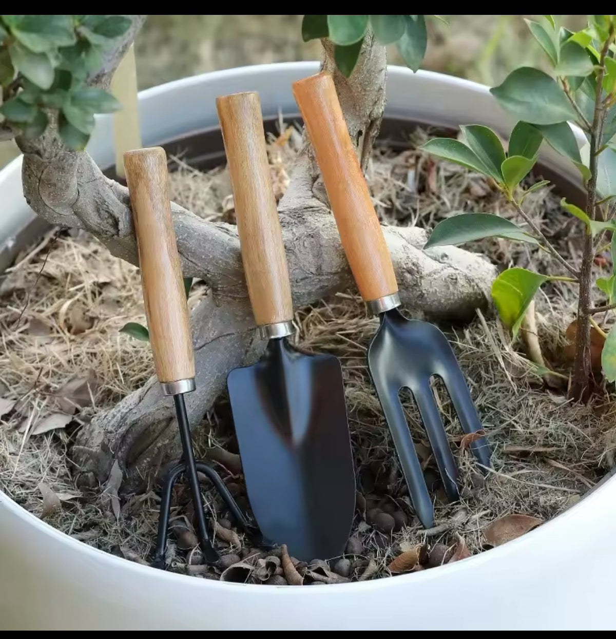 Gardening Tools 3pcs