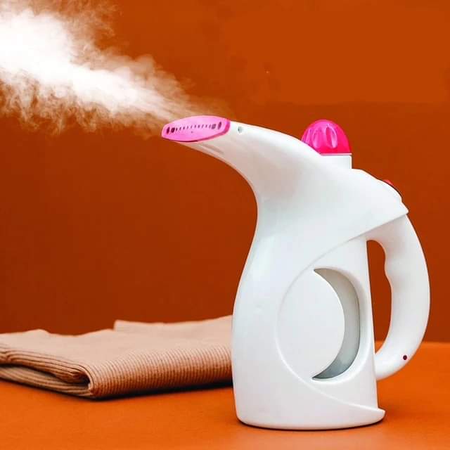 Garment/facial steamer