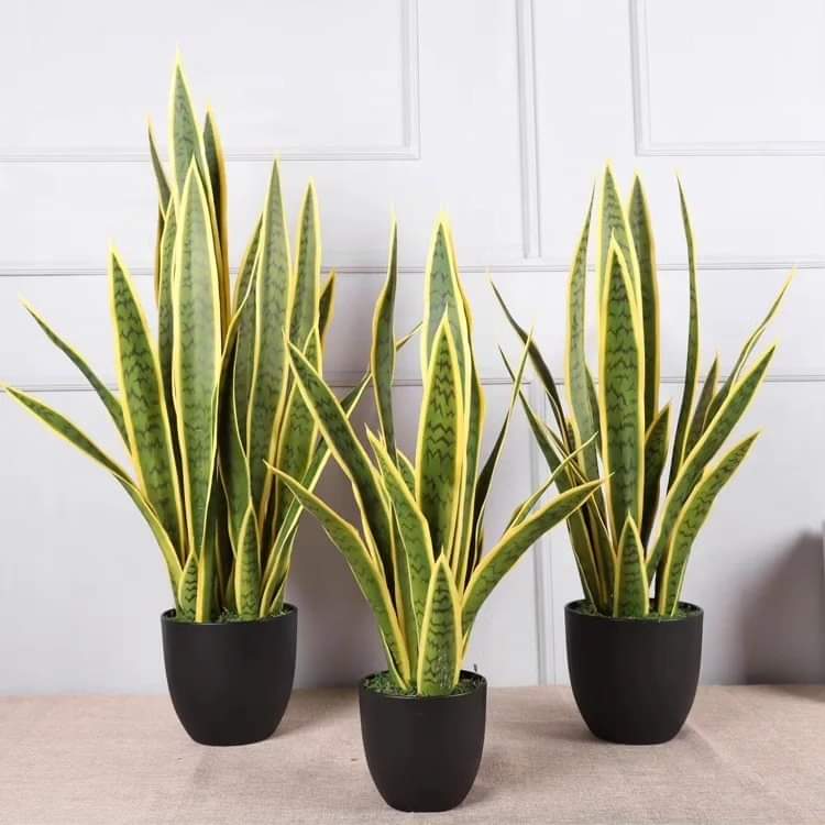 Real touch Yellow sansevieria