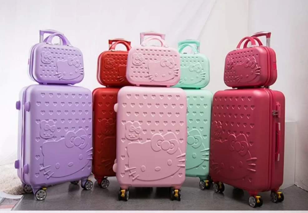 2 in 1 Travel suitcase