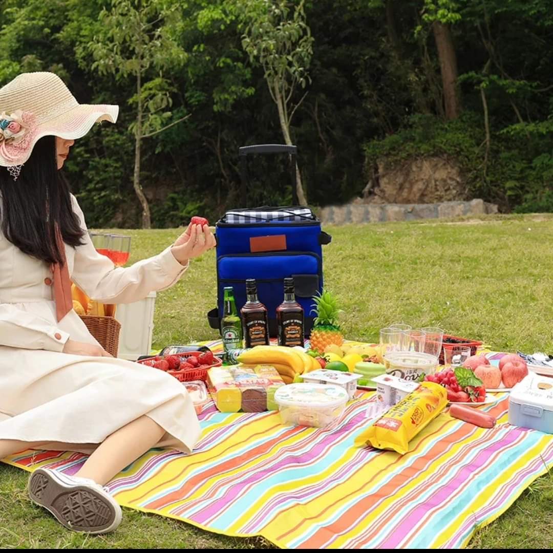 Foldable Picnic Mat