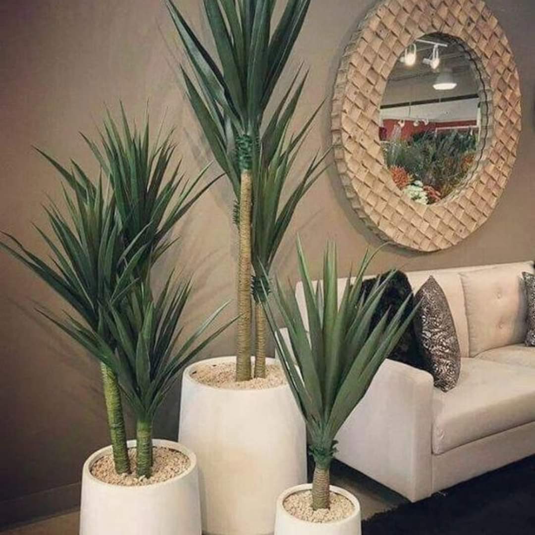 Artificial Yucca Plant