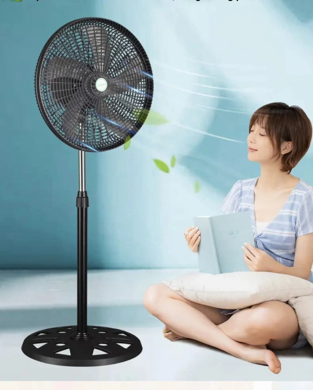 Standing Fan