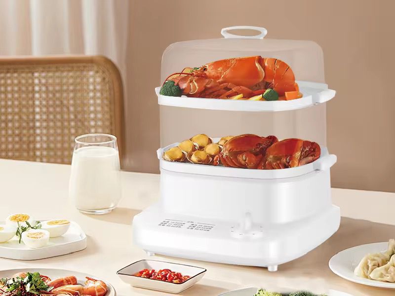 Electric food steamer