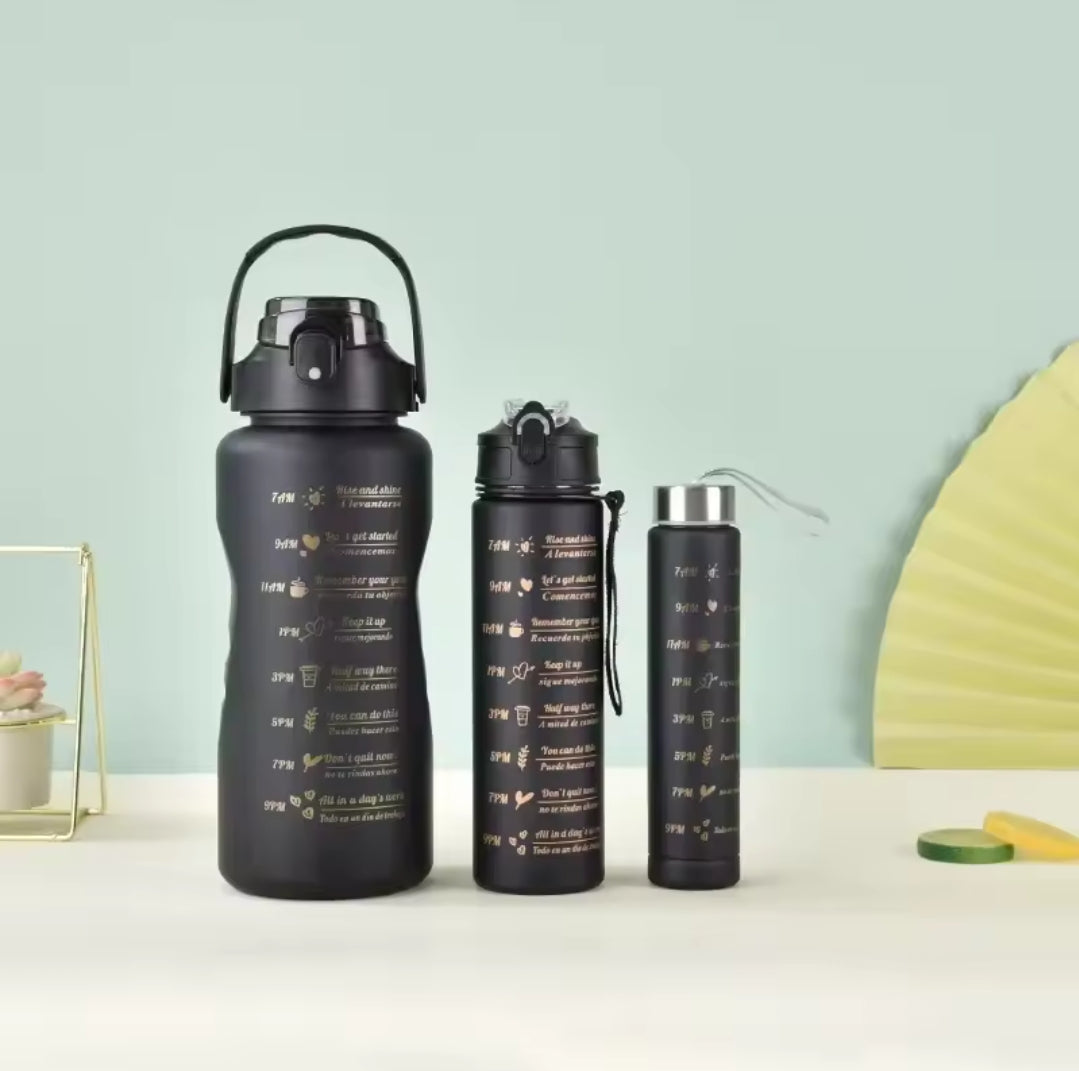 3in1 Water Bottle