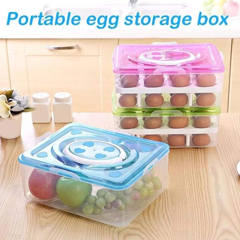 Portable egg storage container