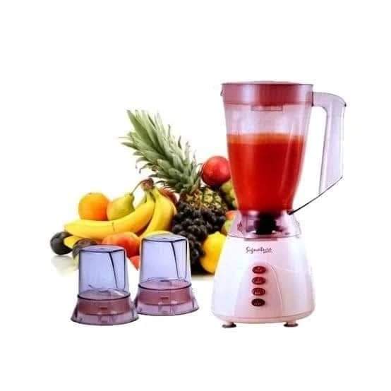 3 in 1 Home blender