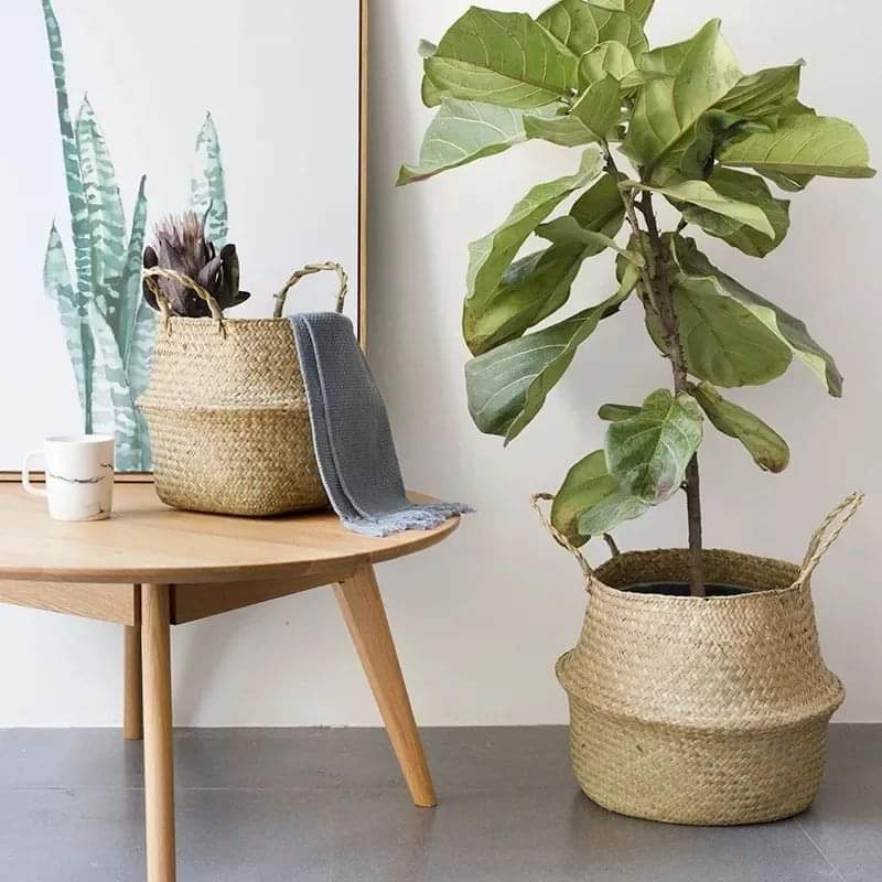 Foldable Rattan Basket