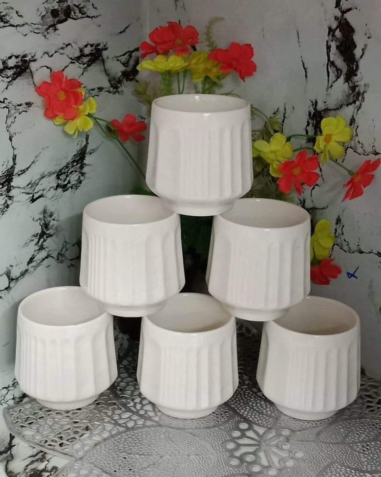 6pcs Ceramic cups