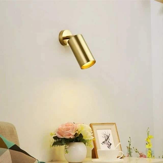 Single Gold Track Light