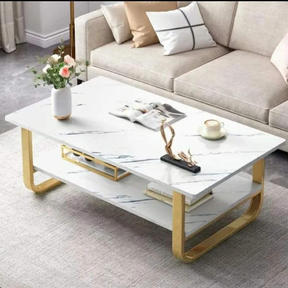 MODERN LUXURY DOUBLE COFFEE TABLE